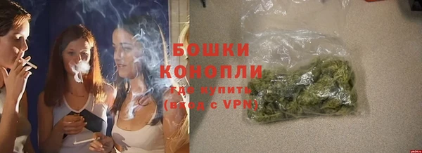 сатива Заводоуковск