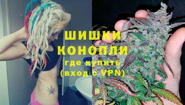 крисы Абаза