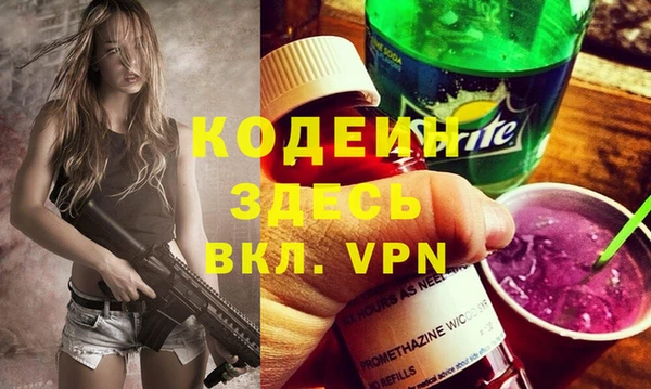 мет Алексин