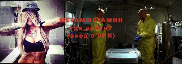 мет Алексин