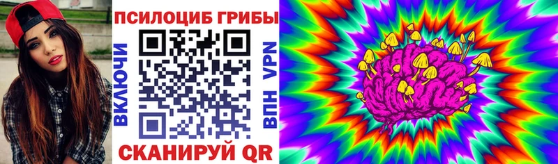 omg онион  дарнет шоп  Красноуфимск  Галлюциногенные грибы Psilocybe 